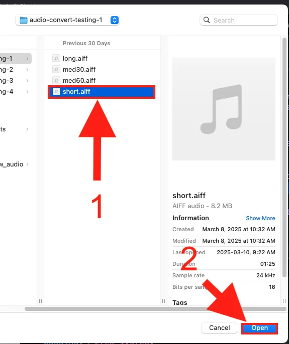 Screenshot of a file selection window, highlighting the AIFF file to be uploaded for conversion.